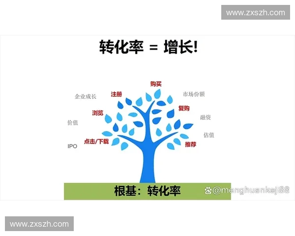 全面解析体育直播平台发展趋势与用户体验创新策略