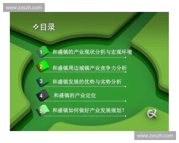 体育品牌授权策略与市场价值提升研究分析